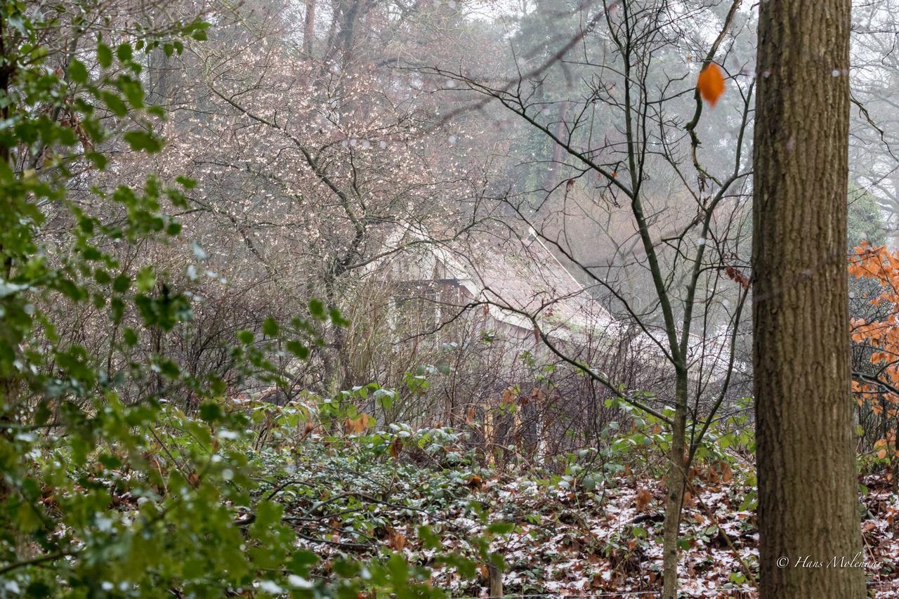 De Hagmolenbeek Boekelo Villa Bagian luar foto
